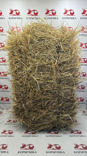 Солома пшеничная/ячменная в тюках 1шт.