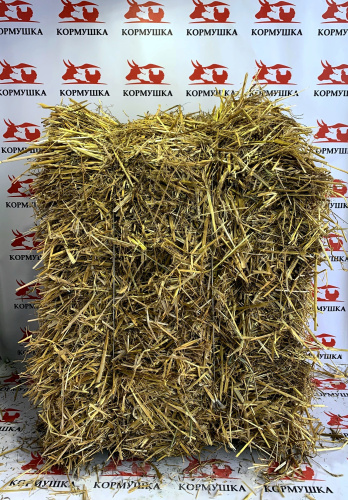 Солома ячменная в тюках 1шт.***