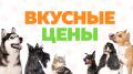 Товары для кошек и собак Товары для кошек и собак