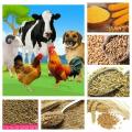 Комбикорма Комбикорма