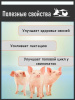 Лизин 15% кормовая добавка ( 500 гр/уп ) 1 шт