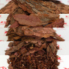 Кора лиственницы (фр. 1-3) 1 шт.