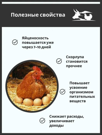 Премикс Здравур Несушка (600гр/уп) 1шт.