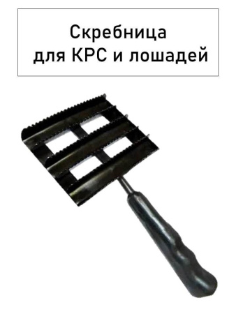 Скребница  металлическая (черная ручка)  1 шт