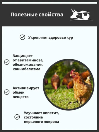 Премикс Здравур Несушка (600гр/уп) 1шт.