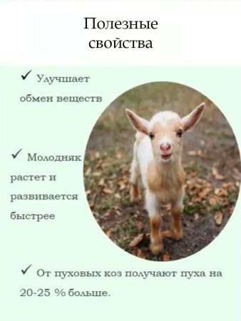 Премикс Здравур Козочка (600гр/уп) 1шт.