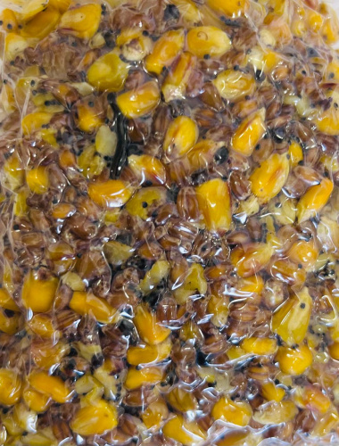 Насадка-прикормка рыболовная, Зерновой микс(кукуруза, пшеница, конопля техн.), в/у 450гр, 1шт